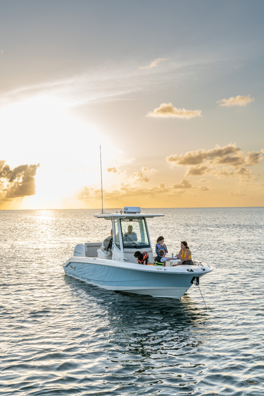 Fondo BOSTON WHALER BOATS 