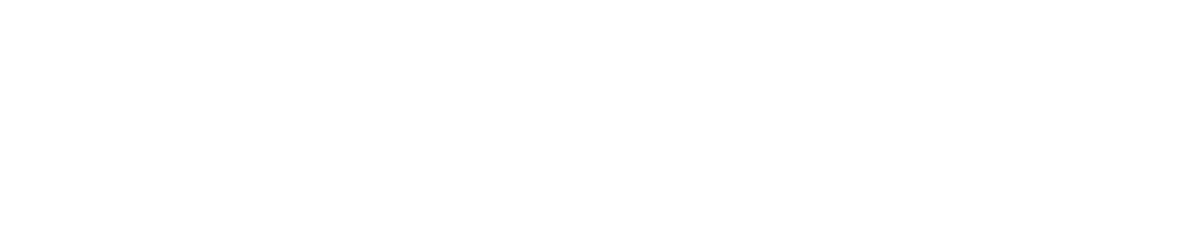 Logo CUSTOM LINE YACHTS