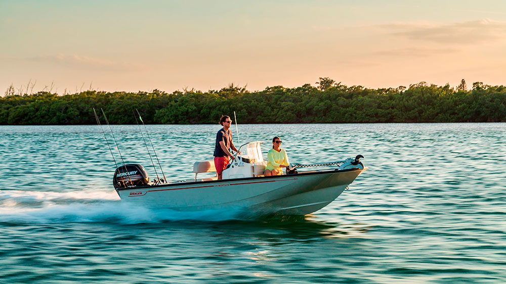Boston-Whaler-170-Montauk.jpeg