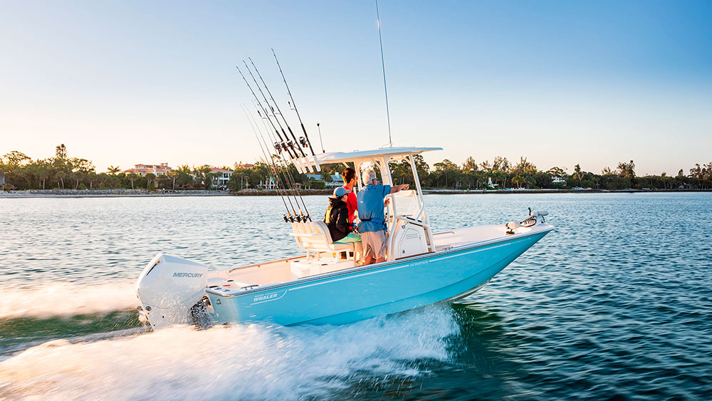 Boston-Whaler-210-Montauk.jpeg