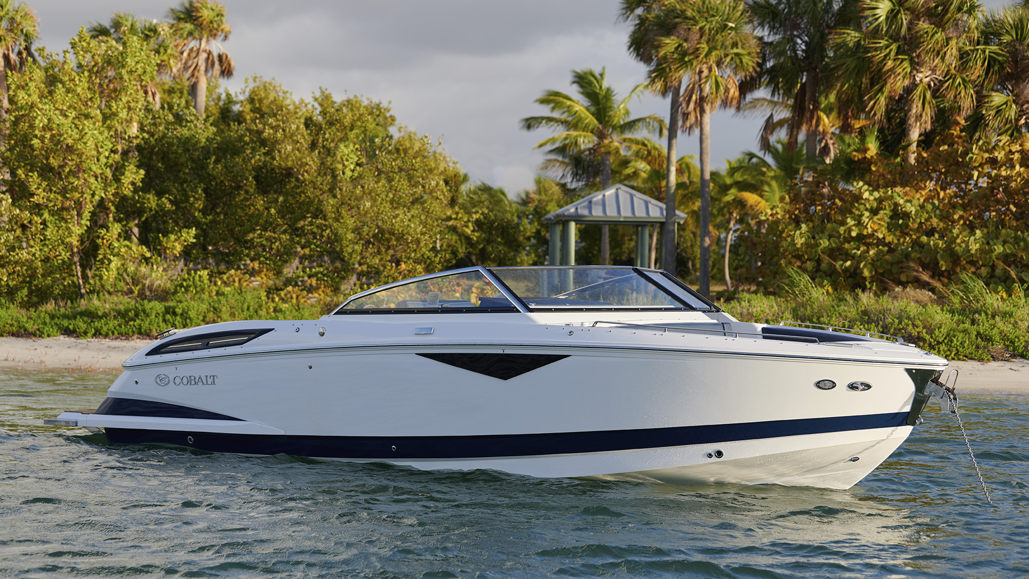 Cobalt-Boats-A29-1643939152bcaf88.jpeg